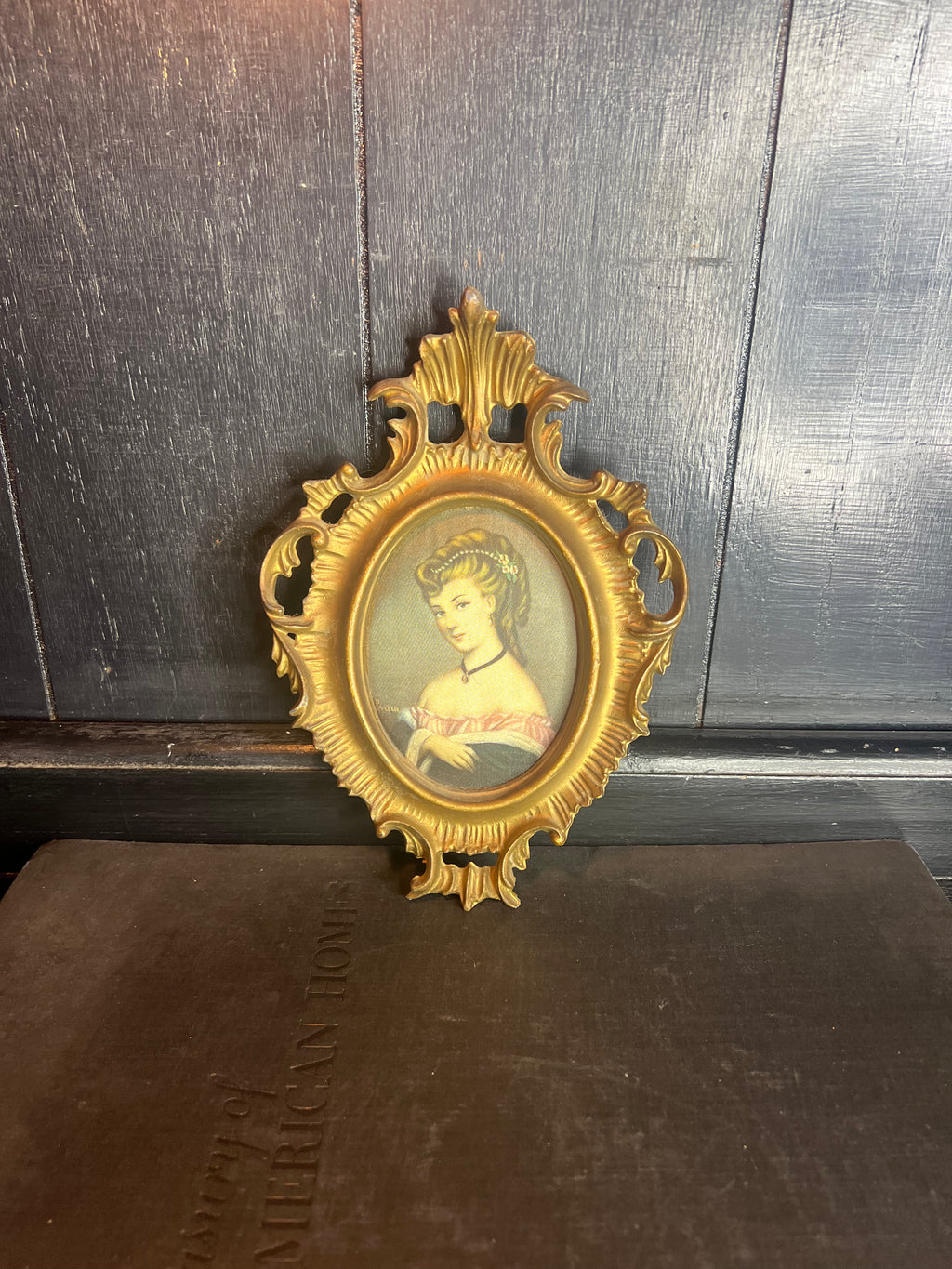 Silk Portrait In Frame